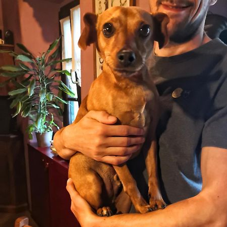 B&B Dove Comincia La Bella Italia Beura Extérieur photo